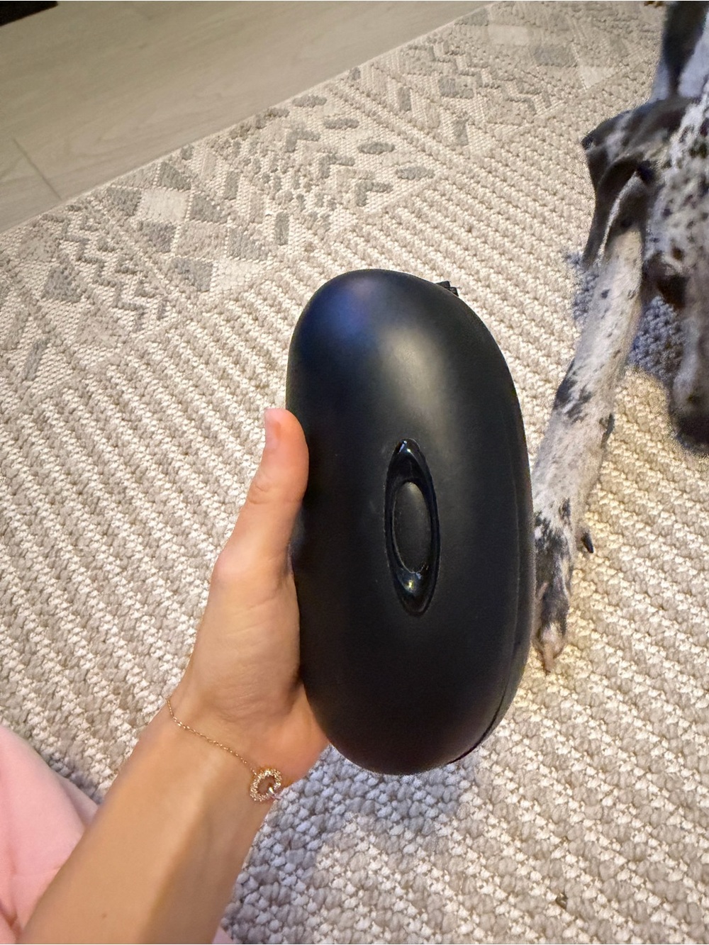 Oakley Matte Black Sunglasses Case